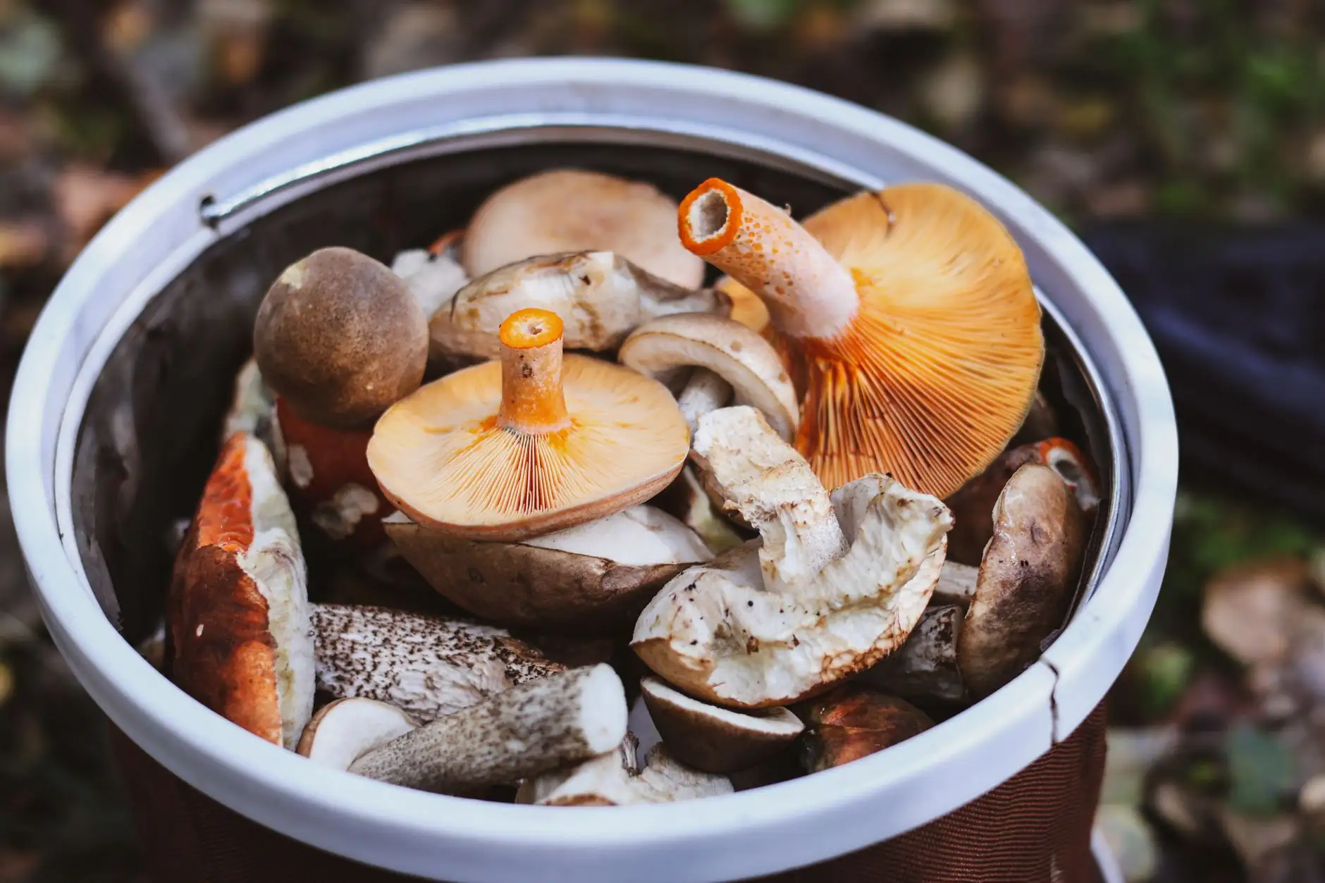 珠三角地区吊扇安装规范及安全质量管控要点